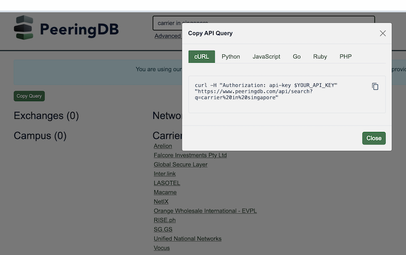 Put an API query in your copy buffer